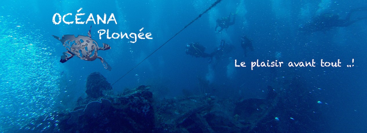 Jan 15 - Création de la page Face Book OCEANA PLONGEE