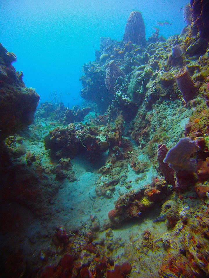 CANYONS DE BABODIE