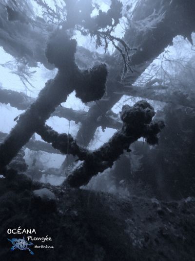 Pont arrière du Roraima